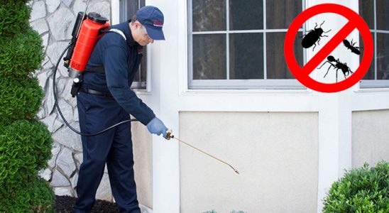 Kaynarca Dezenfeksiyon böcek ilaçlama ve haşere kontrolü — ilaclama-tr.com